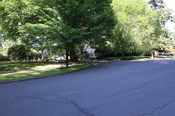 Crystal Springs NS 061