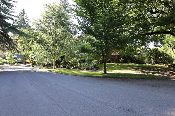 Crystal Springs NS 065