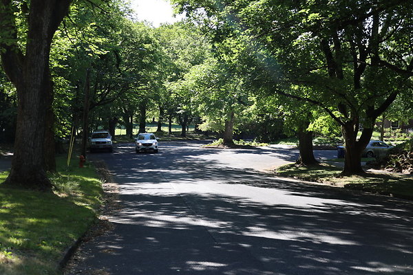 Crystal Springs NS 013