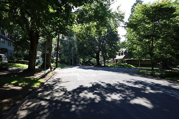 Crystal Springs NS 090