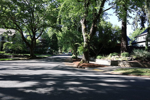 Crystal Springs NS 029