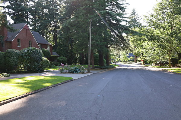 Crystal Springs NS 063