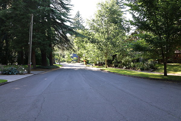 Crystal Springs NS 064