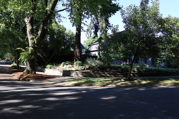 Crystal Springs NS 030