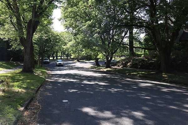 Crystal Springs NS 014