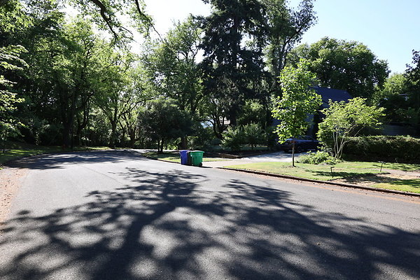 Crystal Springs NS 043