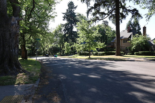 Crystal Springs NS 050