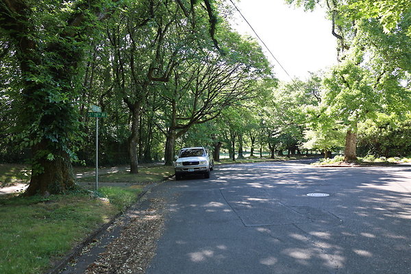 Crystal Springs NS 005