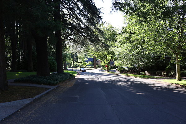 Crystal Springs NS 055