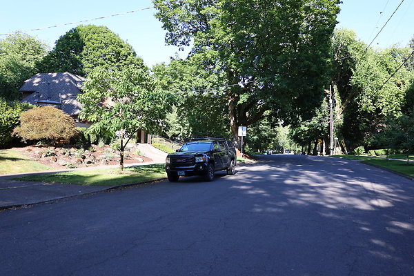 Crystal Springs NS 076