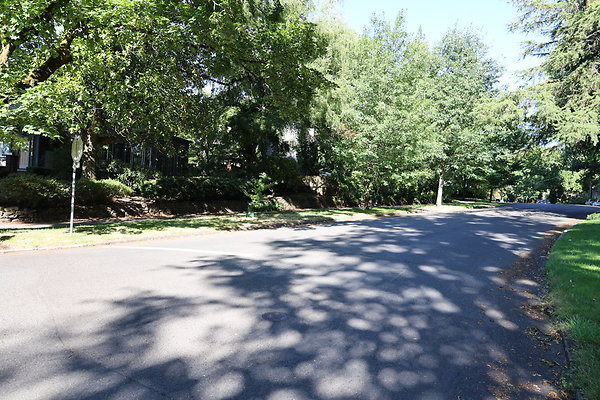 Crystal Springs NS 054