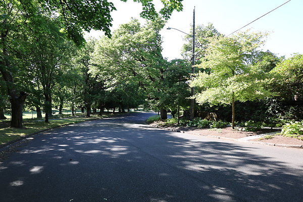 Crystal Springs NS 001