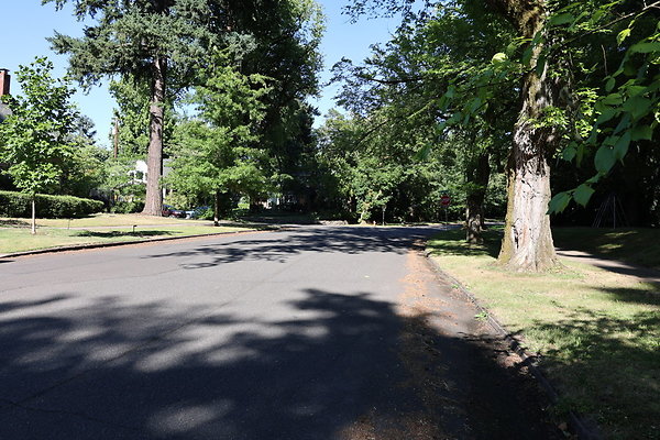 Crystal Springs NS 040