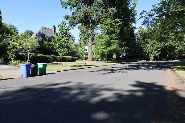 Crystal Springs NS 039