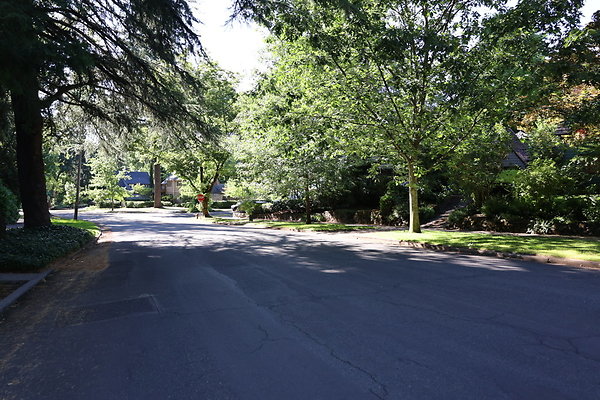 Crystal Springs NS 058