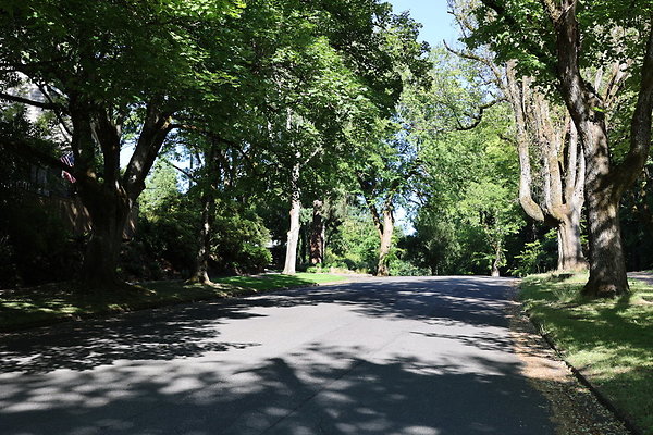 Crystal Springs NS 010