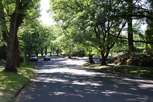 Crystal Springs NS 011