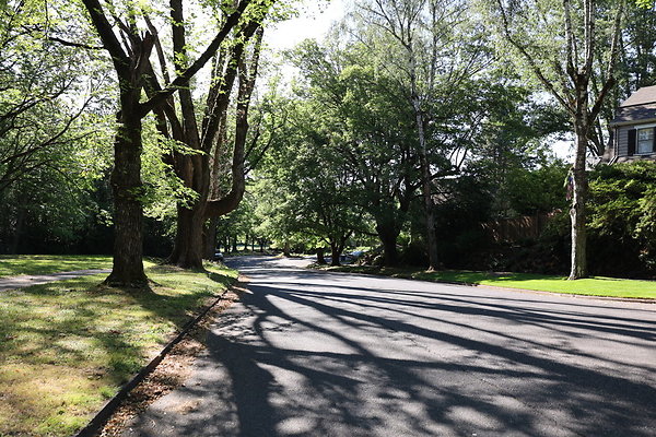 Crystal Springs NS 019