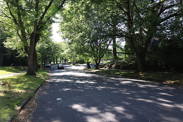 Crystal Springs NS 012