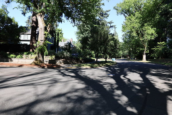 Crystal Springs NS 023