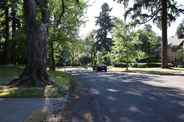 Crystal Springs NS 048