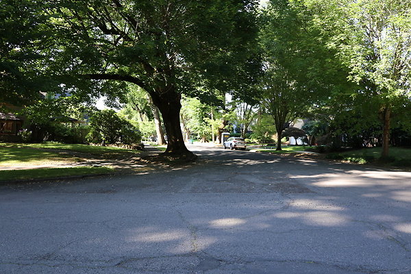 Crystal Springs NS 066