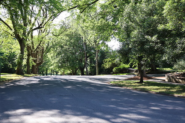 Crystal Springs NS 035