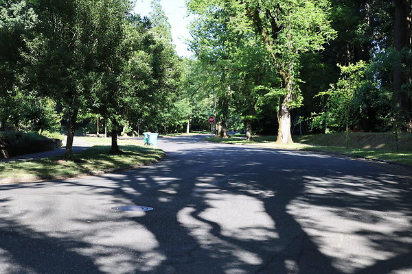 Crystal Springs NS 024