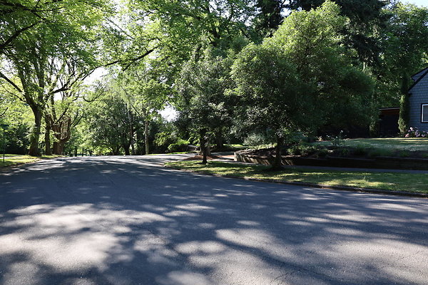 Crystal Springs NS 036