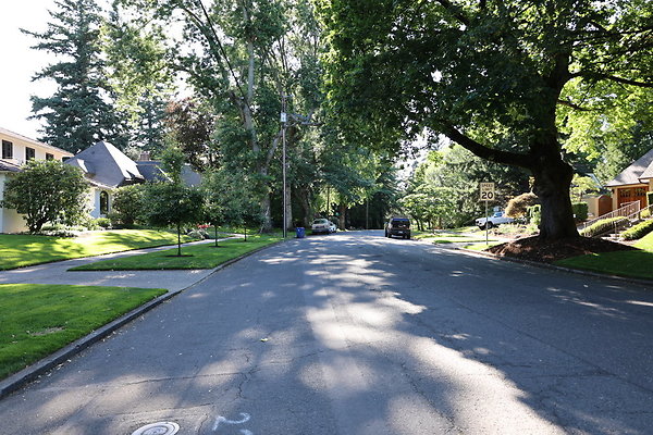 Crystal Springs NS 083