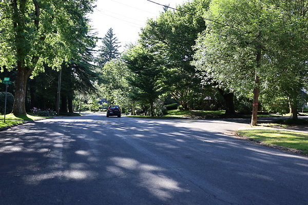 Crystal Springs NS 072