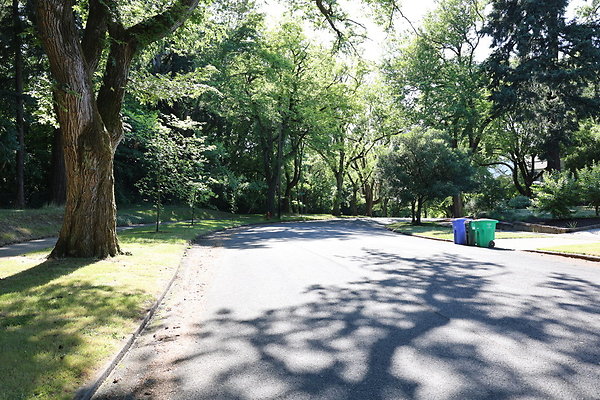 Crystal Springs NS 042