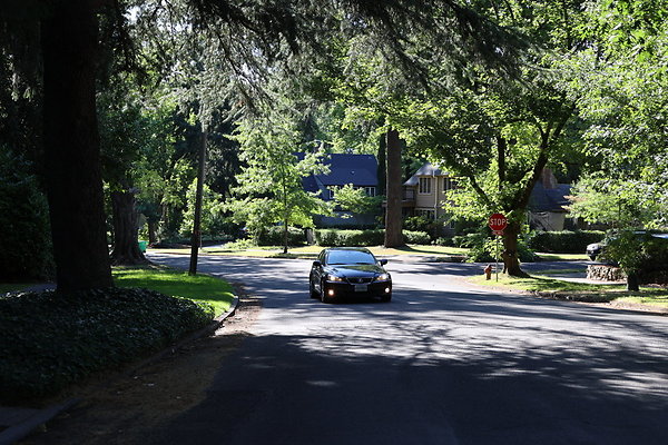 Crystal Springs NS 056