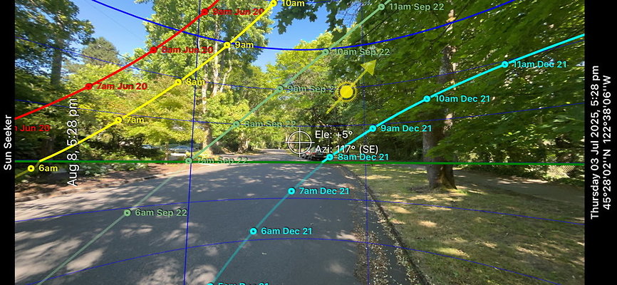 Crystal Springs Sun 001