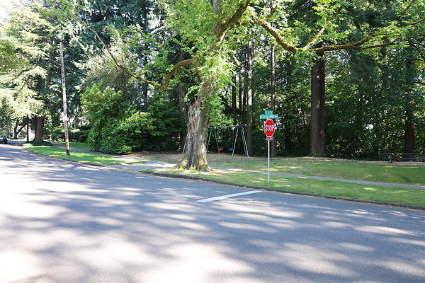 Crystal Springs SS 048