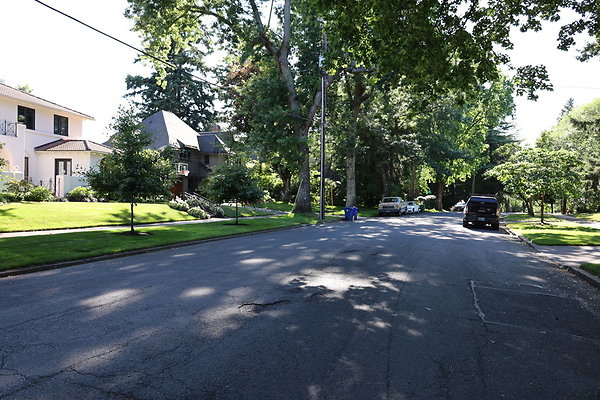 Crystal Springs SS 016