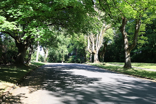 Crystal Springs SS 069