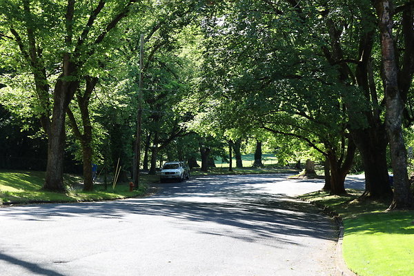 Crystal Springs SS 061