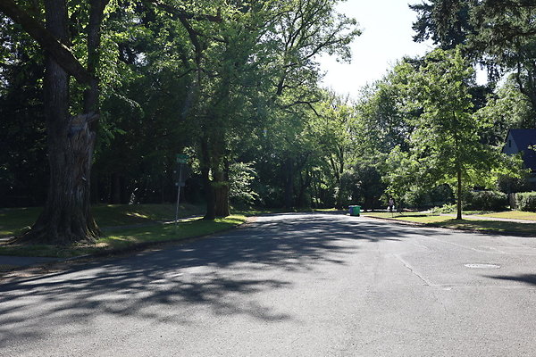 Crystal Springs SS 046