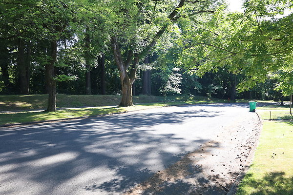 Crystal Springs SS 050