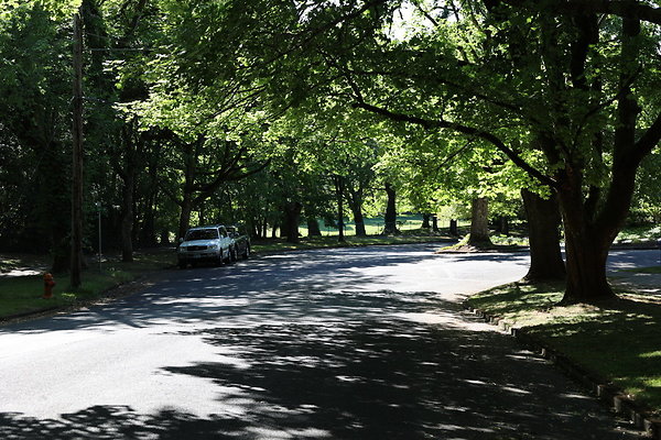 Crystal Springs SS 067