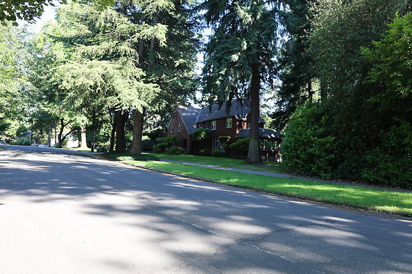 Crystal Springs SS 044