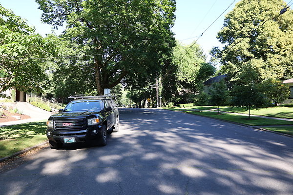 Crystal Springs SS 022