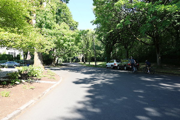 Crystal Springs SS 074