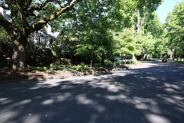 Crystal Springs SS 086