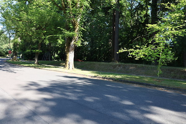 Crystal Springs SS 052