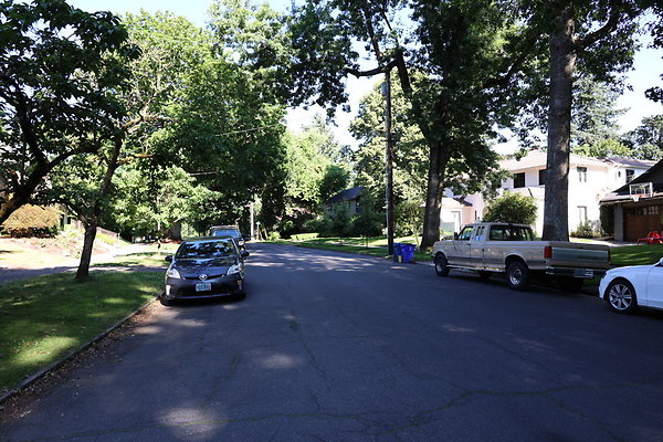 Crystal Springs SS 027