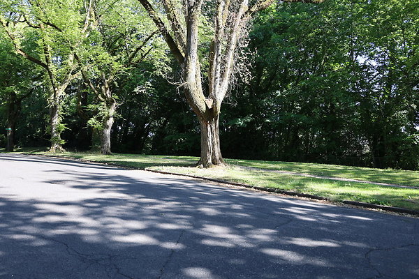 Crystal Springs SS 063