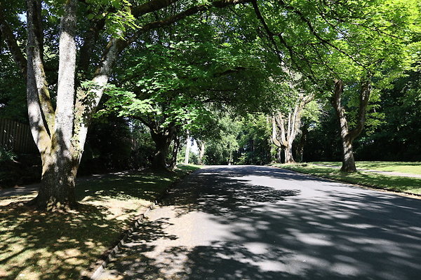 Crystal Springs SS 068