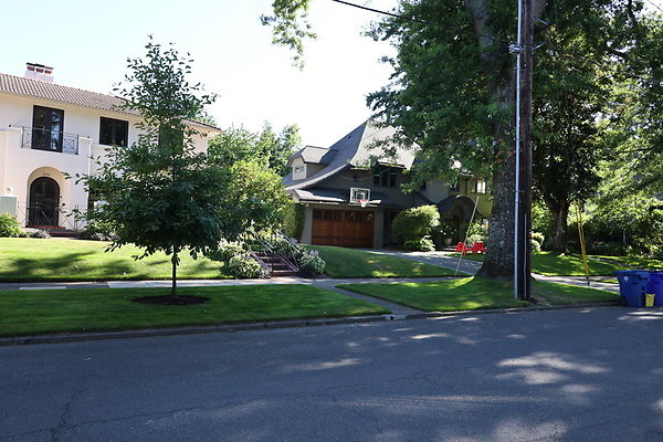 Crystal Springs SS 020